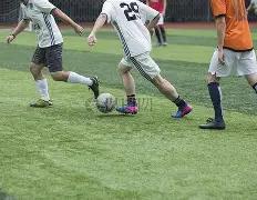 德甲,拜仁对阵柏,林联,九游体育,九游体育app,九游体育官网,九游体育下载,九游体育入口